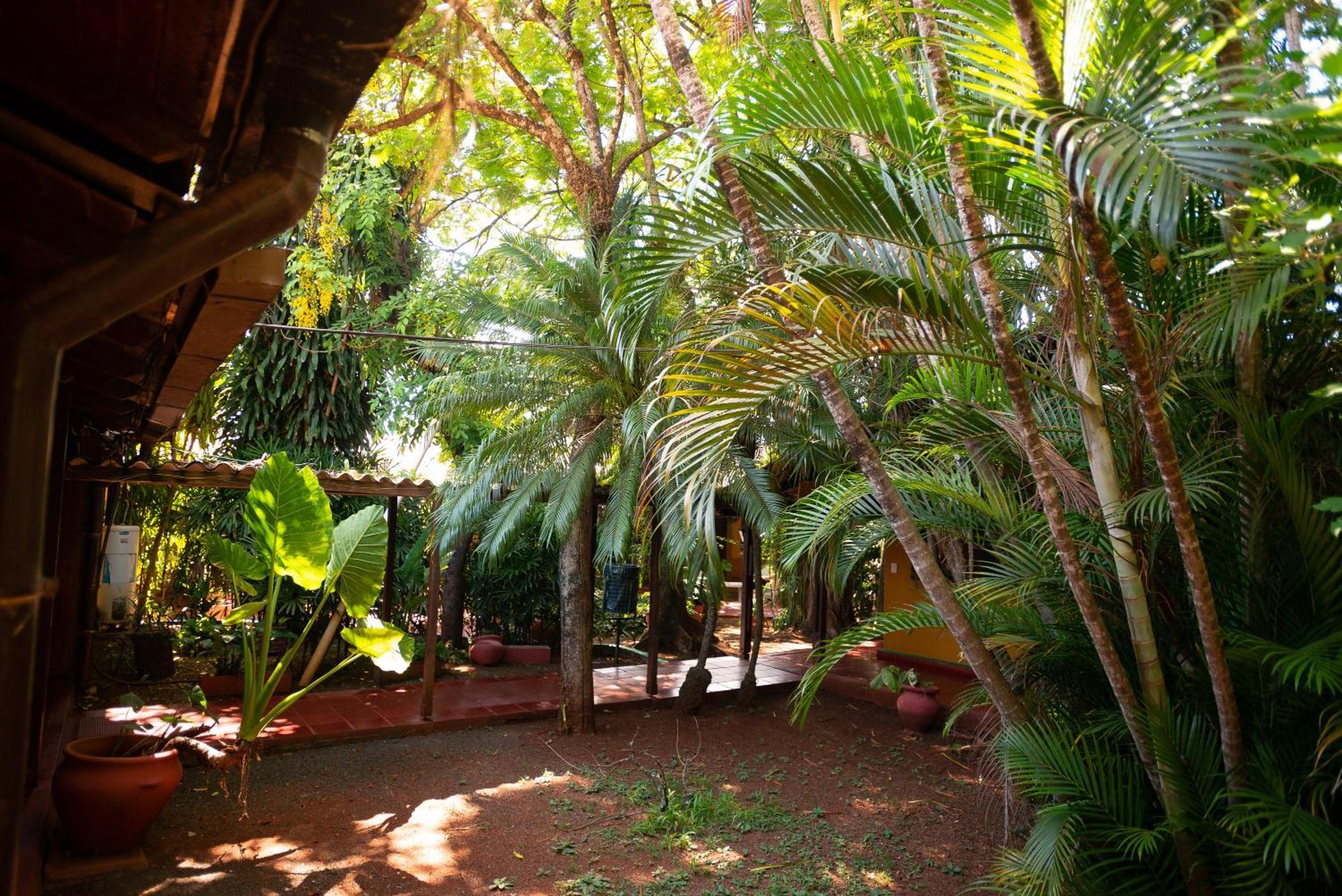 Hosteria Los Helechos Puerto Iguazú Buitenkant foto